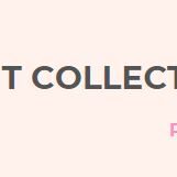 Collection, Payment, recovery