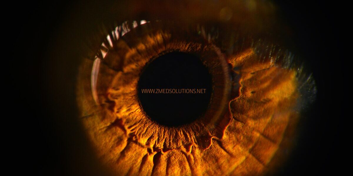 Tele-ophthalmology Services