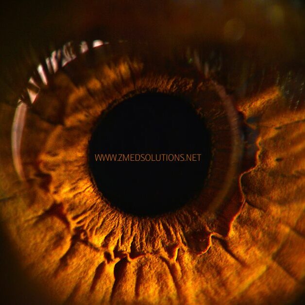 Tele-ophthalmology Services
