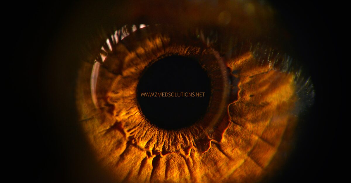 Tele-ophthalmology Services