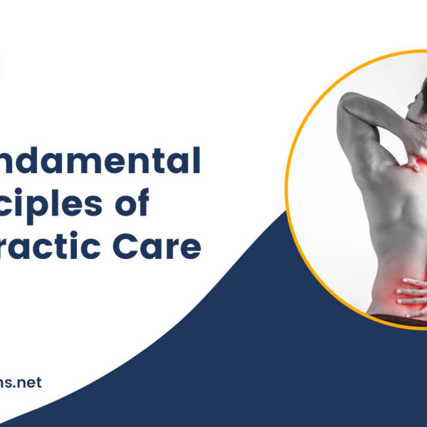 The Fundamental Principles Of Chiropractic Care