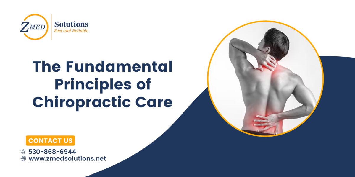 The Fundamental Principles Of Chiropractic Care