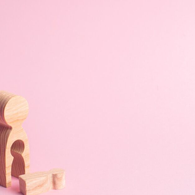 zmed-infertility infertility services