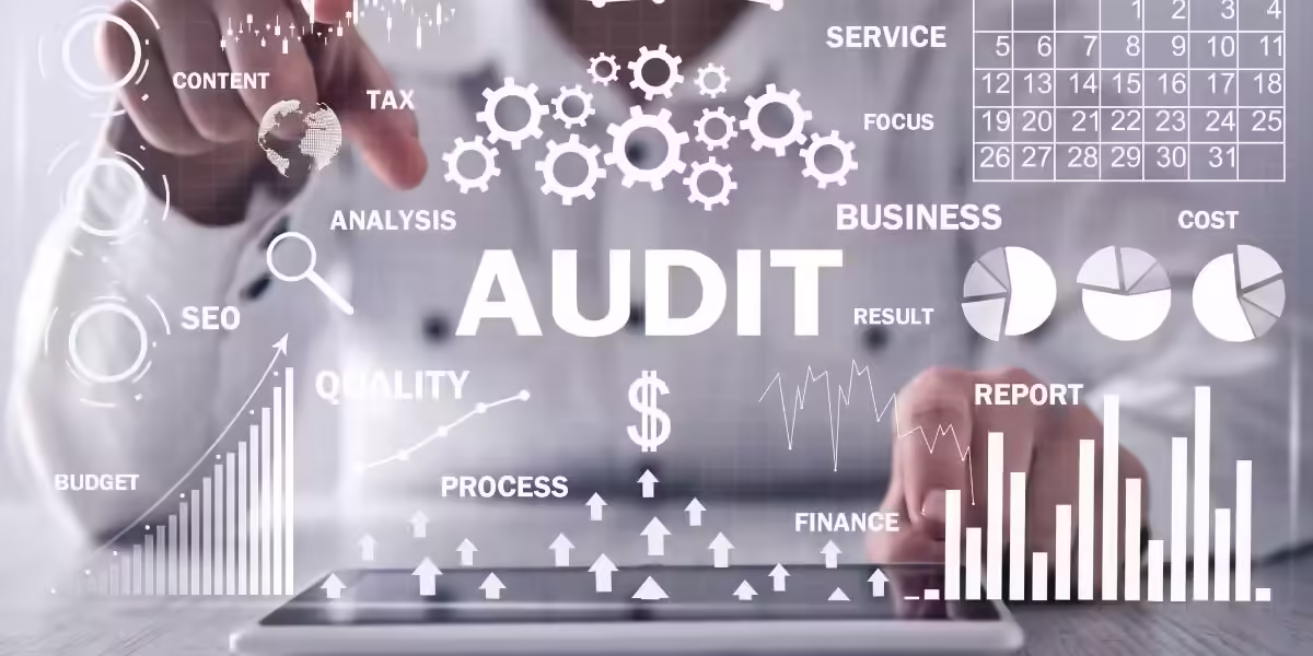 tpe audits in medical billing