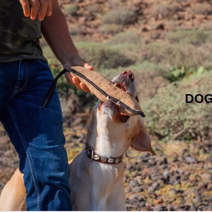 Dog Bite ICD-10 Code W54.0xxa